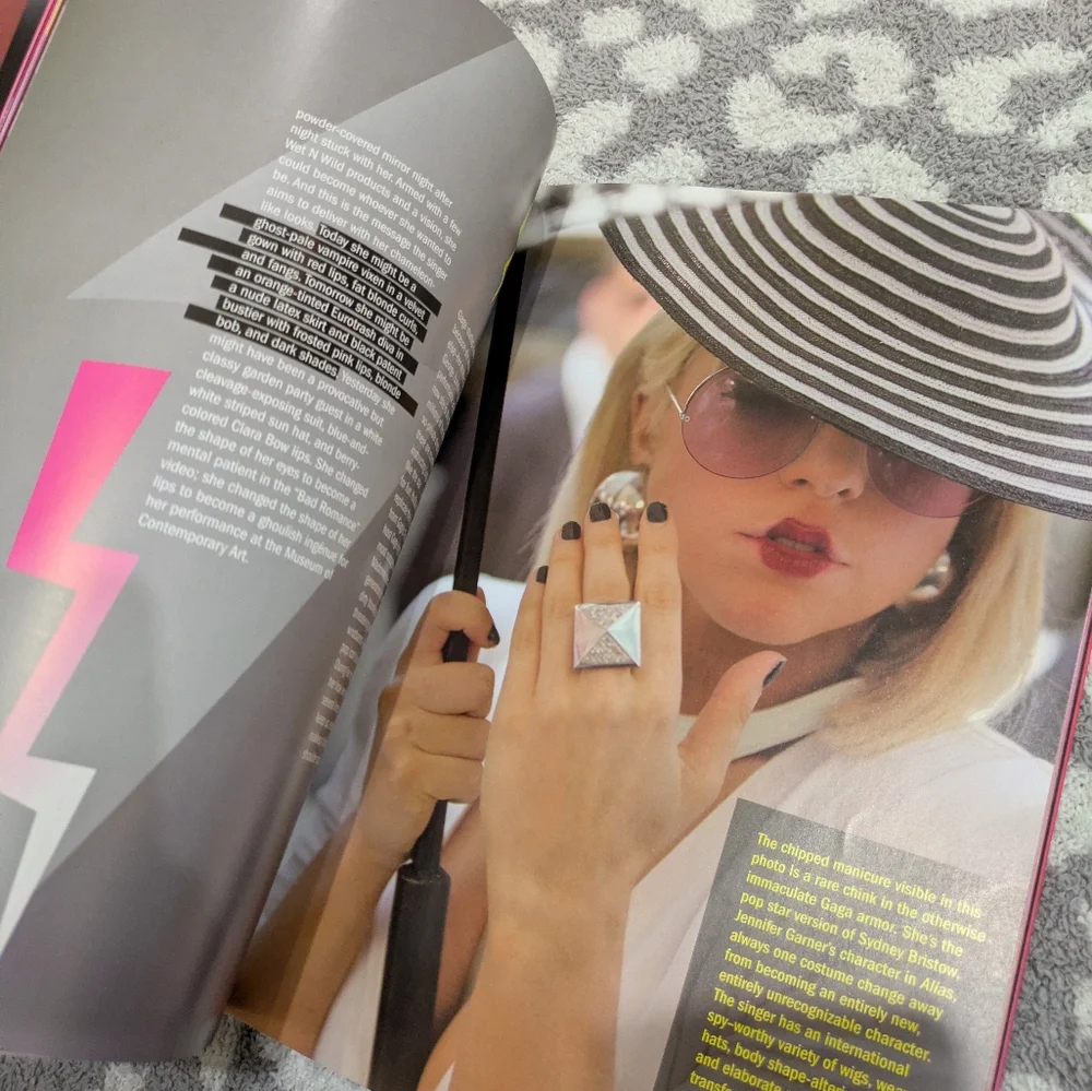 Lady Gaga Book Duo - Picture 7 of 10
